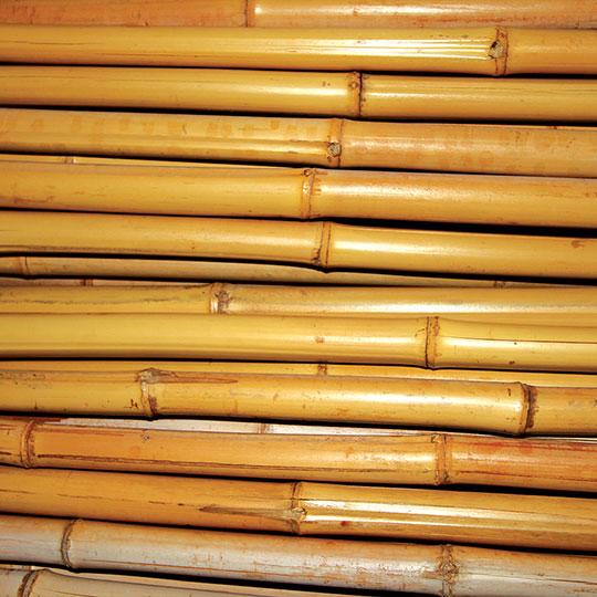 Bamboo Poles