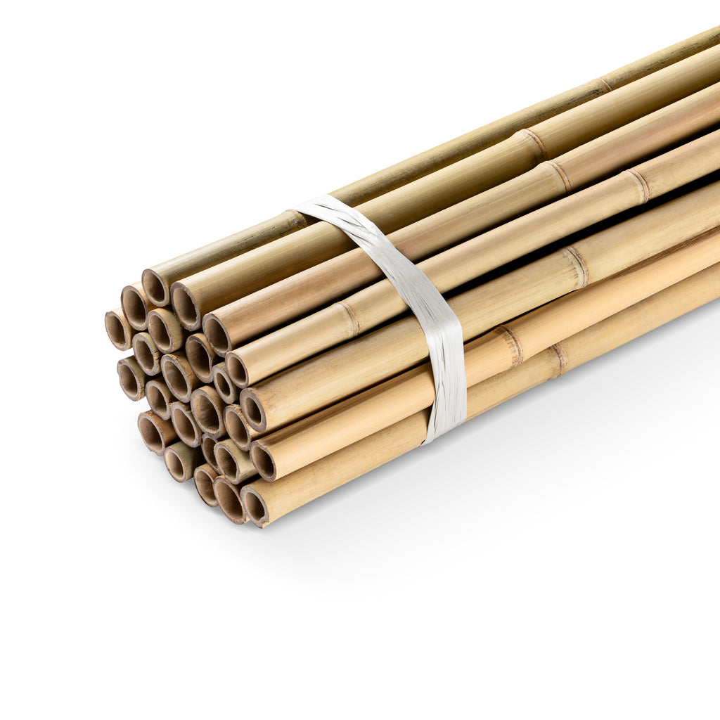 Bamboo Poles