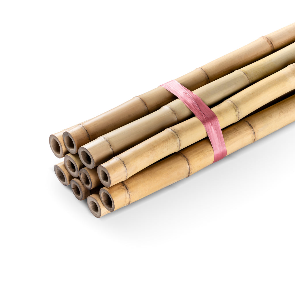 Bamboo Poles